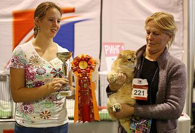   20-21  2014 WCF- 4-225-169A1139 copy.jpg